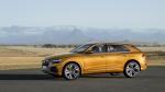 Audi Q8 50 TDI Quattro S-Line 2018 года (WW)